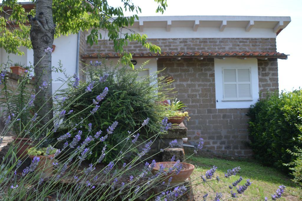 Tenuta Di Pontesodo Montalto di Castro Exterior photo